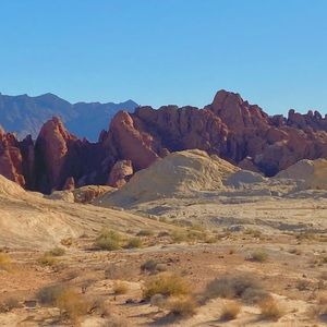 Meet your Posher, Ainsley